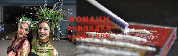 PSILOCYBIN Лиски