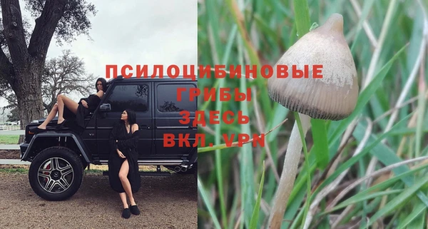 не бодяженный Магадан