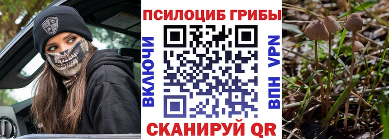 Псилоцибиновые грибы прущие грибы  мега маркетплейс  Шебекино 
