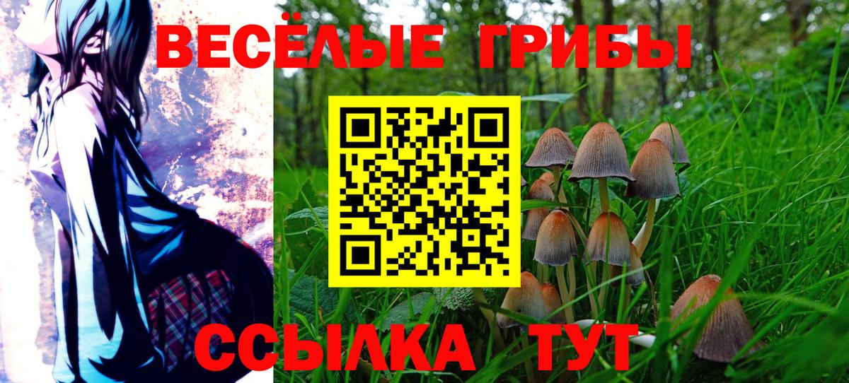 Псилоцибиновые грибы Magic Shrooms Шебекино