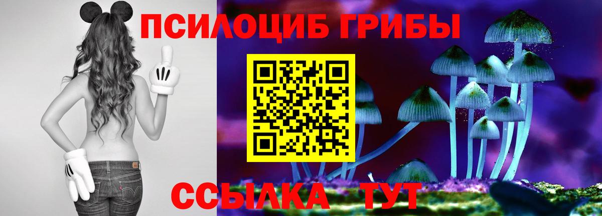 Шебекино  Псилоцибиновые грибы GOLDEN TEACHER  Вход с VPN 